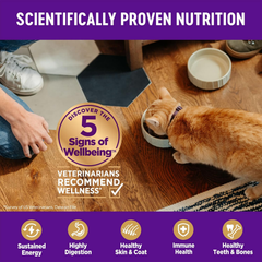 Wellness Complete Health Adult Dry Cat Food for Indoor Cats, Grain Free, Natural, Salmon and Herring Meal