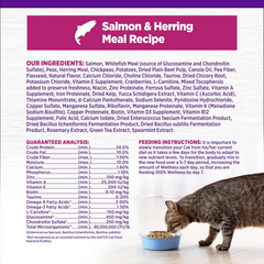 Wellness Complete Health Adult Dry Cat Food for Indoor Cats, Grain Free, Natural, Salmon and Herring Meal