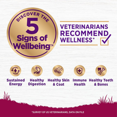 Wellness Complete Health Small Breed Dry Dog Food with Grains, Natural Ingredients, Made in USA with Real Turkey, For Dogs Up to 25 lbs (Adult, Healthy Weight Turkey & Rice)