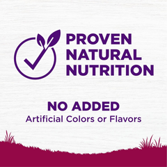 Wellness Complete Health Small Breed Dry Dog Food with Grains, Natural Ingredients, Made in USA with Real Turkey, For Dogs Up to 25 lbs (Adult, Healthy Weight Turkey & Rice)