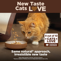 Wellness CORE+ Grain-Free High Protein Adult Dry Cat Food, Chicken, Turkey & Chicken Meal Indoor Formula Dry Cat Food