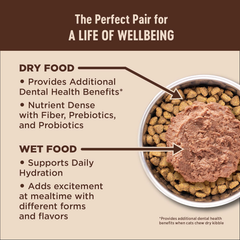 Wellness CORE+ Grain-Free High Protein Adult Dry Cat Food, Chicken, Turkey & Chicken Meal Indoor Formula Dry Cat Food