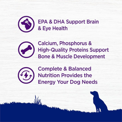 Wellness Complete Health Large Breed Dry Dog Puppy Food with Grains, Natural Ingredients, Made in USA with Real Meat (Puppy, Chicken, Salmon & Rice)