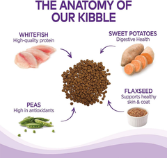 Wellness Complete Health Whitefish & Sweet Potato