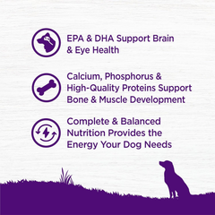 Wellness Complete Health Puppy Dry Dog Food, Wholesome Grains, Natural, Chicken, Oatmeal, & Salmon Recipe