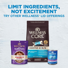 Wellness Natural Pet Food Wellness Simple Natural Grain Free Limited Ingredient Dry Dog Food, Salmon and Potato Recipe