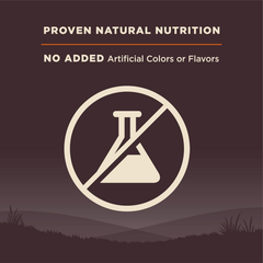 Wellness CORE Grain-Free High-Protein Small Breed Dry Dog Food, Natural Ingredients, Made in USA with Real Meat