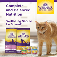 Wellness Complete Health Pate Adult Wet Cat Food, Natural, Protein-Rich, Grain Free (Chicken & Lobster)