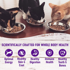 Wellness Complete Health Minced Adult Wet Cat Food, Natural, Protein-Rich, Grain Free (Chicken Entrée)