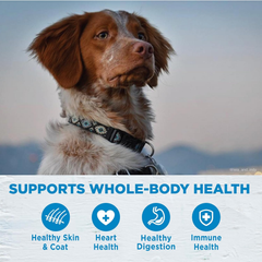 Wellness Simple Natural Limited-Ingredient Grain-Free Dry Dog Food, Easy to Digest for Sensitive Stomachs, Supports Skin & Coat (Lamb and Oatmeal)