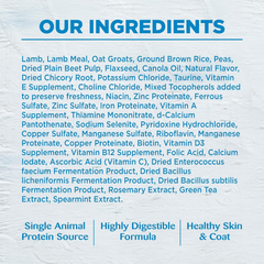Wellness Simple Natural Limited-Ingredient Grain-Free Dry Dog Food, Easy to Digest for Sensitive Stomachs, Supports Skin & Coat (Lamb and Oatmeal)
