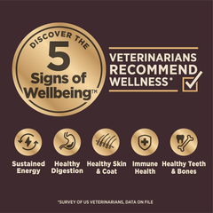 Wellness CORE Digestive Health Dry Dog Food with Wholesome Grains, Highly Digestible, for Dogs with Sensitive Stomachs, Made in USA with Real Chicken