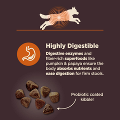 Wellness CORE Digestive Health Dry Dog Food with Wholesome Grains, Highly Digestible, for Dogs with Sensitive Stomachs, Made in USA with Real Chicken