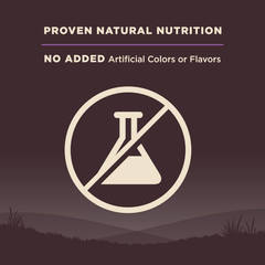 Wellness CORE Grain-Free Senior Dry Dog Food, Made in USA with Real Turkey and Natural Ingredients, With Nutrients for Immune, Joint, Skin & Coat Support