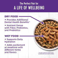 Wellness Complete Health Sliced Adult Wet Cat Food, Natural, Protein-Rich, Grain Free (Chicken Entrée)