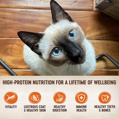 Wellness CORE Signature Selects Chunky Adult Wet Cat Food, Natural, Protein-Rich, Grain Free (Chicken & Salmon)