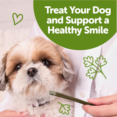 Whimzees Wellness Freshzees Dog Dental Treats, Natural Chews, Small Size Stick