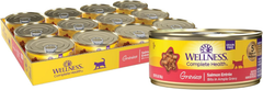 Wellness Complete Health Gravy Adult Wet Cat Food, Natural, Protein-Rich, Grain Free (Salmon Entree)
