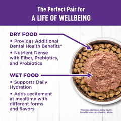 Wellness Complete Health Gravy Adult Wet Cat Food, Natural, Protein-Rich, Grain Free (Salmon Entree)