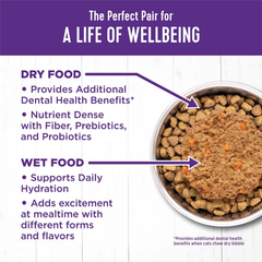 Wellness Complete Health Pate Kitten Wet Cat Food, Natural, Protein-Rich, Grain Free (Whitefish & Chicken)