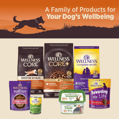 Wellness CORE 95% Natural Wet Grain Free Canned Dog Food, Turkey & Spinach