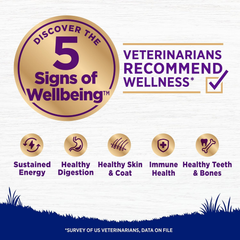 Wellness Complete Health Large Breed Dry Dog Food with Grains, Natural Ingredients, Made in USA with Real Meat (Adult, Chicken & Rice)