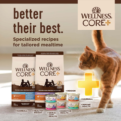 Wellness CORE+ Adult Dry Cat Food for Indoor and Outdoor Cats, Wholesome Grains, Natural, Digestive Health Chicken & Rice