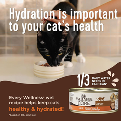 Wellness CORE+ Digestive Health Pate Adult Wet Cat Food, Natural, Protein-Rich, Grain Free (Turkey)