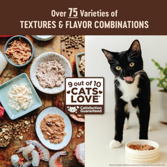 Wellness CORE+ Digestive Health Pate Adult Wet Cat Food, Natural, Protein-Rich, Grain Free (Turkey)