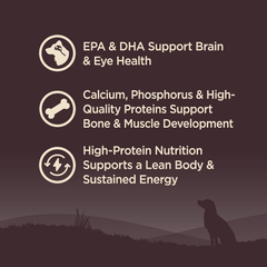 Wellness CORE Grain-Free High-Protein Small Breed Dry Dog Food, Natural Ingredients, Made in USA with Real Meat (Puppy, Turkey)