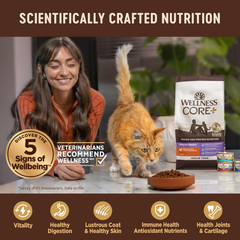 Wellness CORE+ Hairball Adult Dry Cat Food for Indoor & Outdoor Cats, Grain Free, Natural, Chicken and Chicken Meal