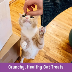 Wellness Kittles Crunchy Natural Grain Free Cat Treats, Tuna & Cranberries Recipe, All Life Stages