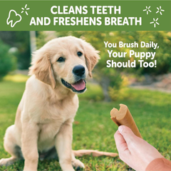Wellness WHIMZEES Puppy Dog Dental Treats, Natural Chews, Extra Small & Small Size Stick
