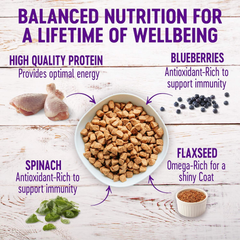 Wellness Complete Health Dry Dog Food with Grains, Natural Ingredients, Made in USA with Real Meat, All Breeds, For Adult Dogs (Healthy Weight - Chicken & Potatoes)