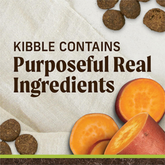 Merrick Premium Grain Free Dry Adult Dog Food, Wholesome And Natural Kibble With Real Lamb And Sweet Potato