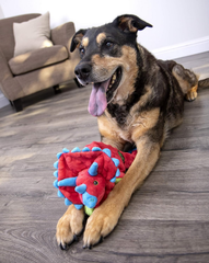 goDog Dinos Frills Squeaky Plush Dog Toy, Chew Guard Technology - Red