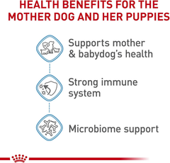 Royal Canin Size Health Nutrition Small Starter Mother & Babydog Dry Dog Food