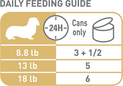 Royal Canin Dachshund Adult Breed Specific Wet Dog Food