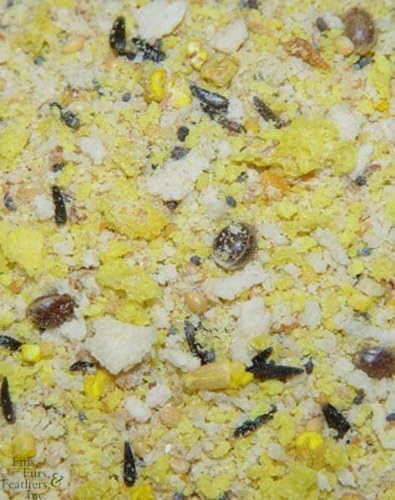 Higgins Protein Egg Food 20 lb
