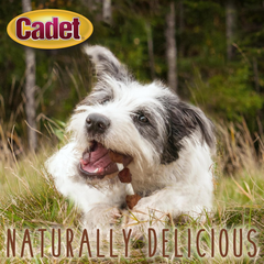 Cadet Gourmet Triple-Flavored Beef Hide Shish Kabob Dog Treats - Healthy & Natural Chicken, Duck, & Sweet Potato Dog Treats, 5 in.