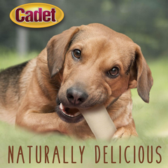 Cadet Premium Grade Beef Hide, Long-Lasting Rawhide Rolls, Single-Ingredient Dog Chews for Small Breeds