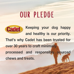 Cadet Premium Grade Beef Hide for Dogs, Long Lasting Rawhide Retriever Rolls, Single Ingredient Dog Chews, Variety Flavor, 10 Inch