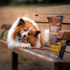 Cadet Bully Sticks for Small Dogs – All-Natural Beef Pizzle, High Protein, Low Fat, Long-Lasting, Grain & Rawhide-Free Dog Chews for Aggressive Chewers, Small
