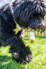 Cadet Stuffed Shin Bone - Highly Digestible, High Protein, Long-Lasting Dog Chew Bone for Aggressive Chewers, Supports Dental Health, - Peanut Butter Flavor