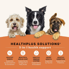 Canidae All Life Stages Multi-Protein Recipe with Chicken, Turkey, Lamb, and Fish – High Protein Premium Dry Dog Food for All Ages, Breeds, and Sizes