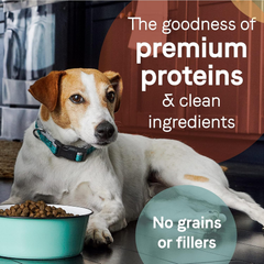 Canidae Pure Limited Ingredient Premium Adult Dry Dog Food, Real Bison, Lentil & Carrot Recipe