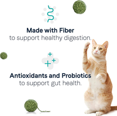 Canidae Goodness for Digestion, Premium Adult Dry Cat Food with Real Chicken