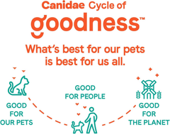 Canidae Goodness for Skin and Coat, Premium Adult Dry Cat Food with Real Salmon