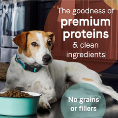Canidae Pure Limited Ingredient Premium Adult Dry Dog Food, Real Chicken, Lentil & Potato Recipe, Grain Free