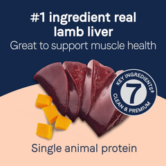 CANIDAE Pure Dog Treat Biscuits with Lamb Liver & Butternut Squash, Grain Free